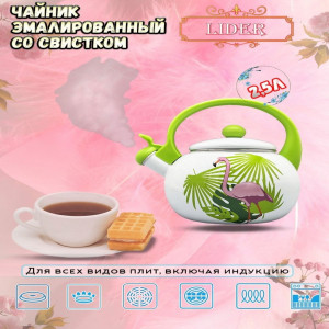 Эмалированный чайник со свистком 2,5л. Lider ART-LD 10004