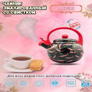 Эмалированный чайник со свистком 2,5л. Lider LD-10006